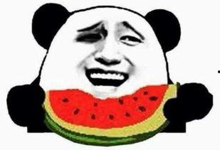 吃瓜群众吧百度贴吧,网络舆论场的“瓜田”众生相